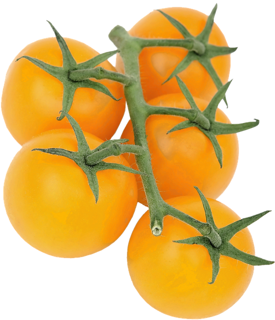 Tomato